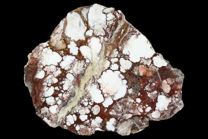 Polished Wild Horse Magnesite Slab - Arizona #114306